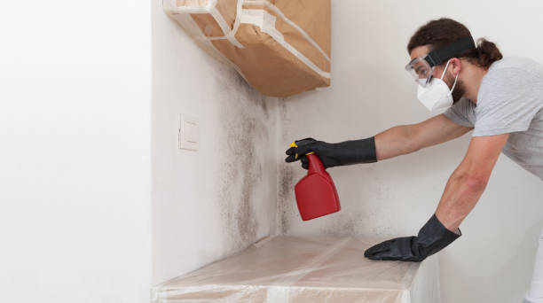 Professional Mold Testing technician working in Levering, MI