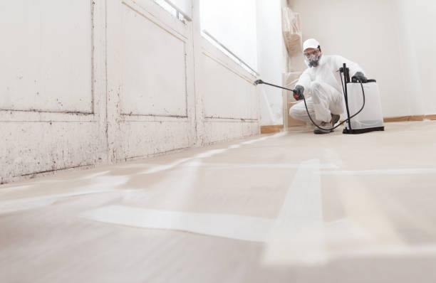 24/7 Emergency Mold Testing experts in Levering, MI