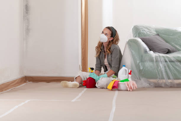 Reliable Mold Testing contractor in Levering, MI by WQB Mold Removal